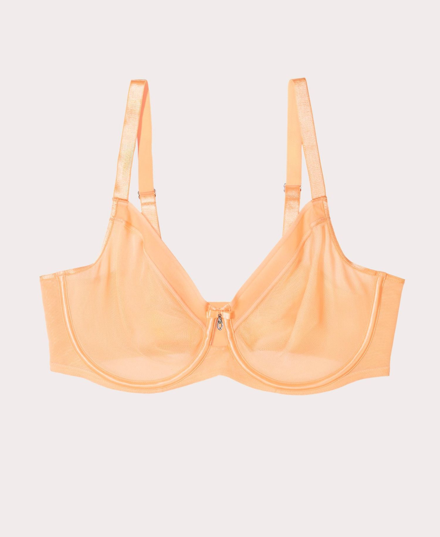 Women's Sheer Mesh Full Coverage Unlined Underwire Bra
