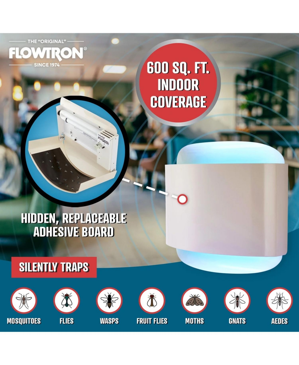 Flowtron Fly Trap Indoor Wall Sconce, Electric Insect Killer, 40W Uv, Sticky Strips, 600 Sq Ft, Home