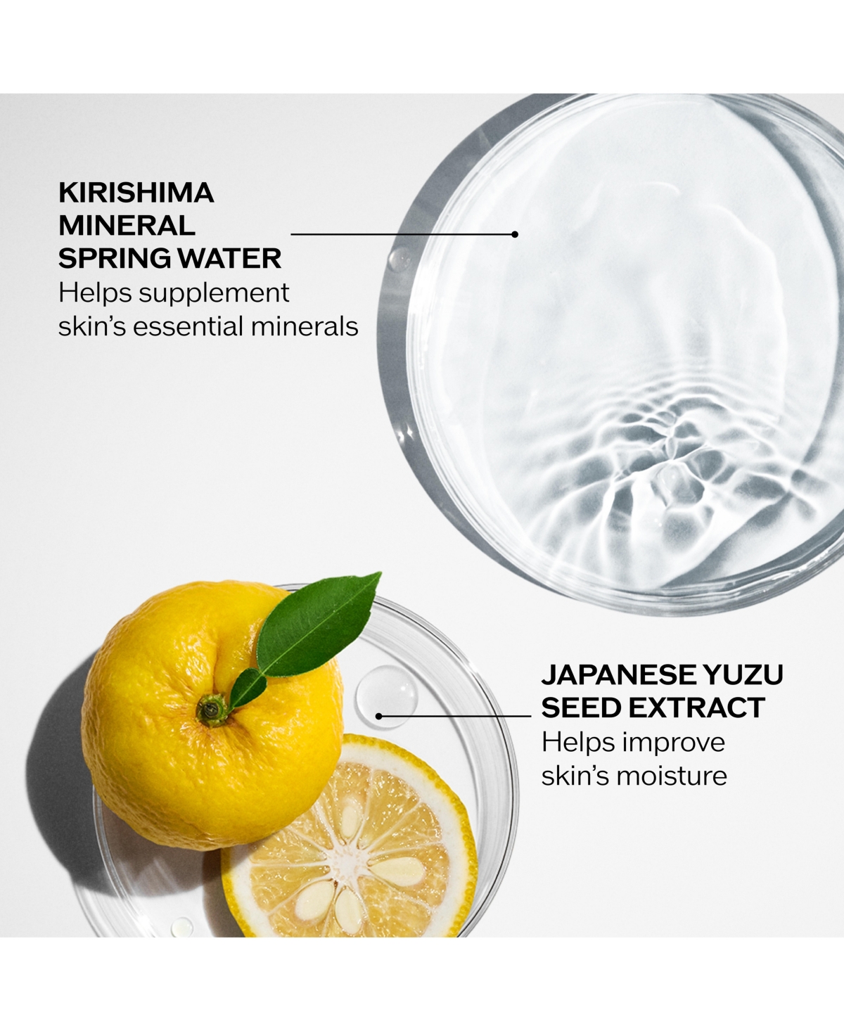 Shiseido Treatment Softener Enriched (For Normal, Dry and Very Dry Skin), 5 fl. oz.