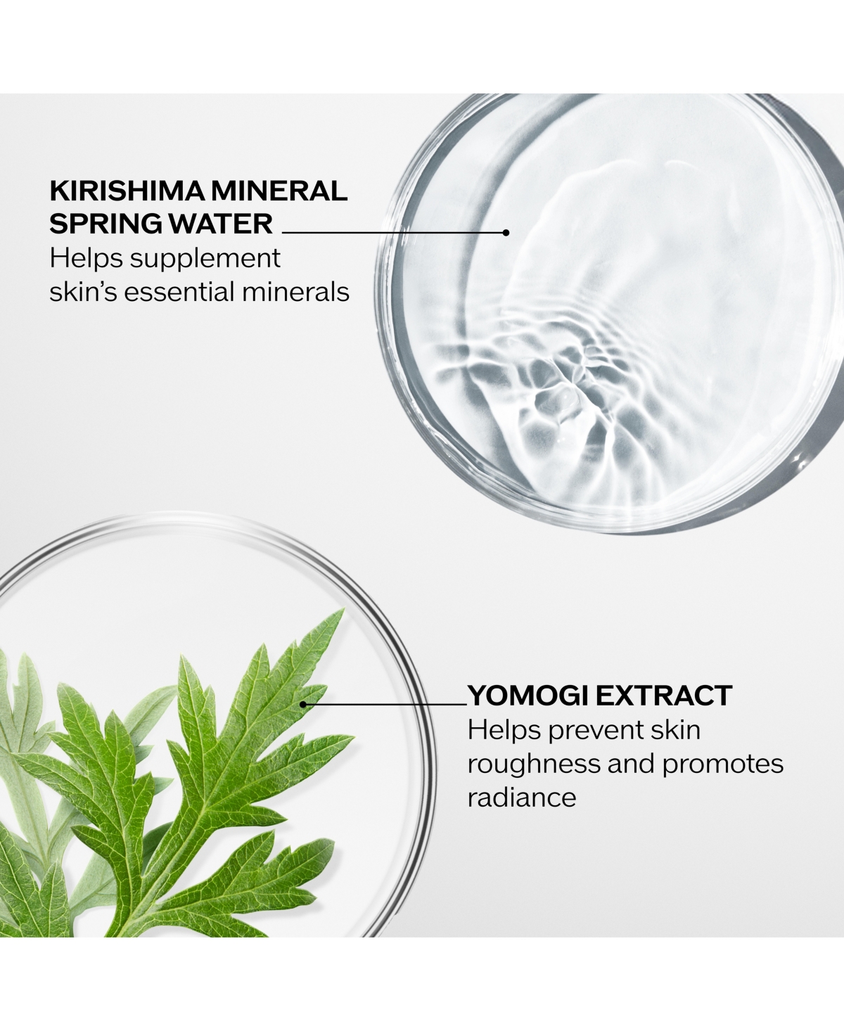 Shiseido Treatment Softener, 10-oz.