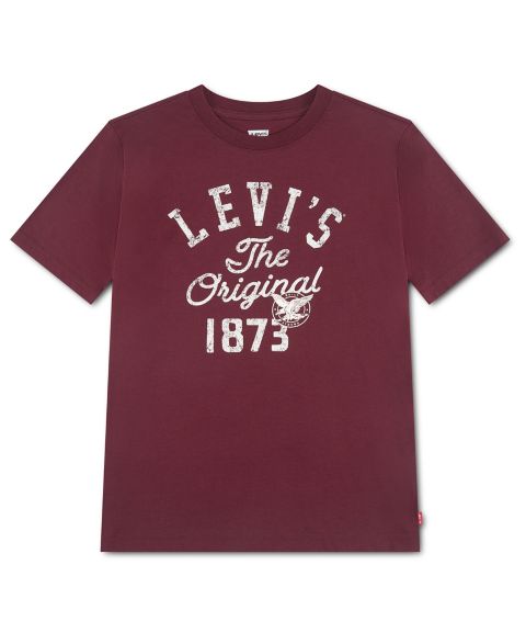Футболка Levi's Vintage Look Short-Sleeve T-Shirt для мальчиков, цвет: Tawny Port