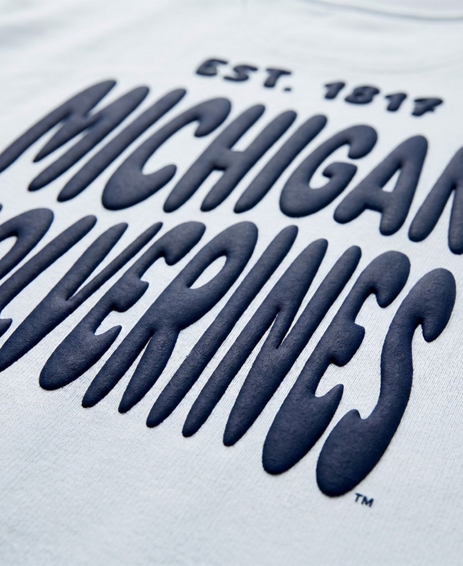 Women's Light Blue Michigan Wolverines Cloud Sweatshirt