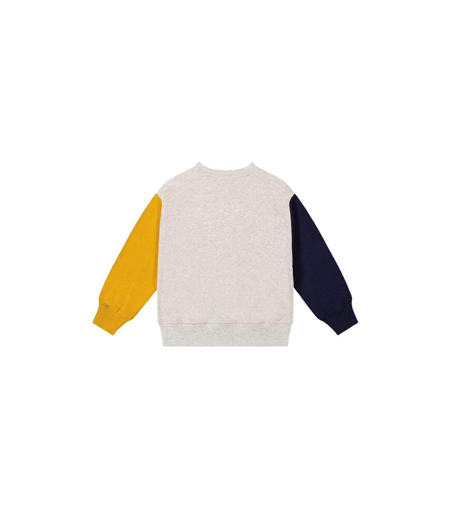 Little and Big Boy (6Y - 12Y) Fleece Sweatshirt