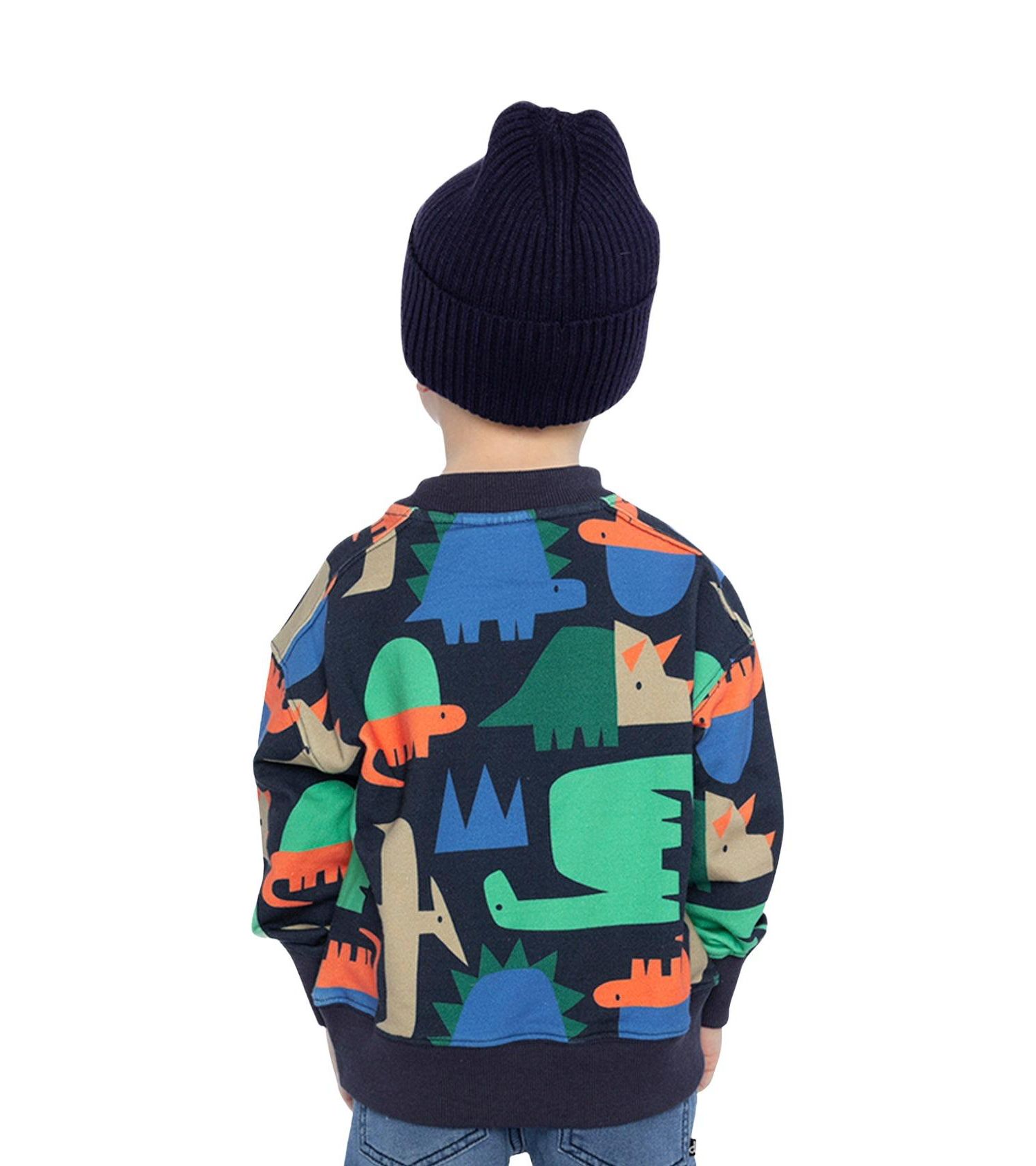 Big Boys (6-12) Fleece Sweatshirt Dinosaur Print