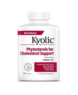 Aged Garlic Extract Formula 107, Phytosterols for Cholesterol Support, 240 Capsules