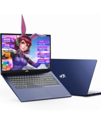 8945HS 17.3" Laptop