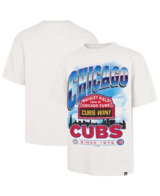 Men's White Chicago Cubs Regional Upland Foundation T-Shirt