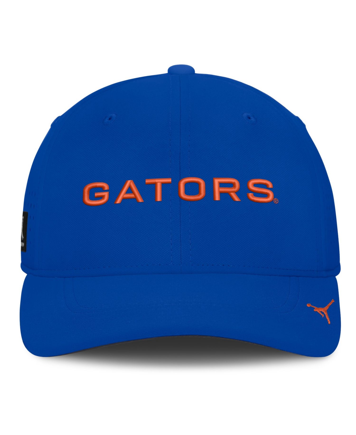Men's Royal Florida Gators Gameday Aerobill Swooshflex Dri-FIT Hat