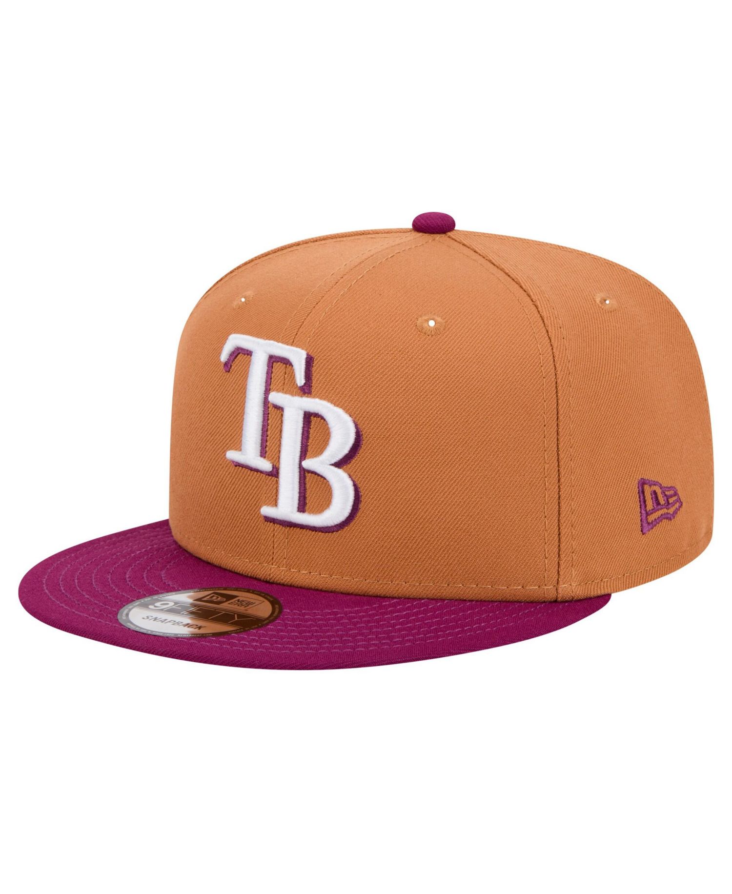 Men's Brown/Purple Tampa Bay Rays Color Pack Two-Tone 9FIFTY Snapback Hat