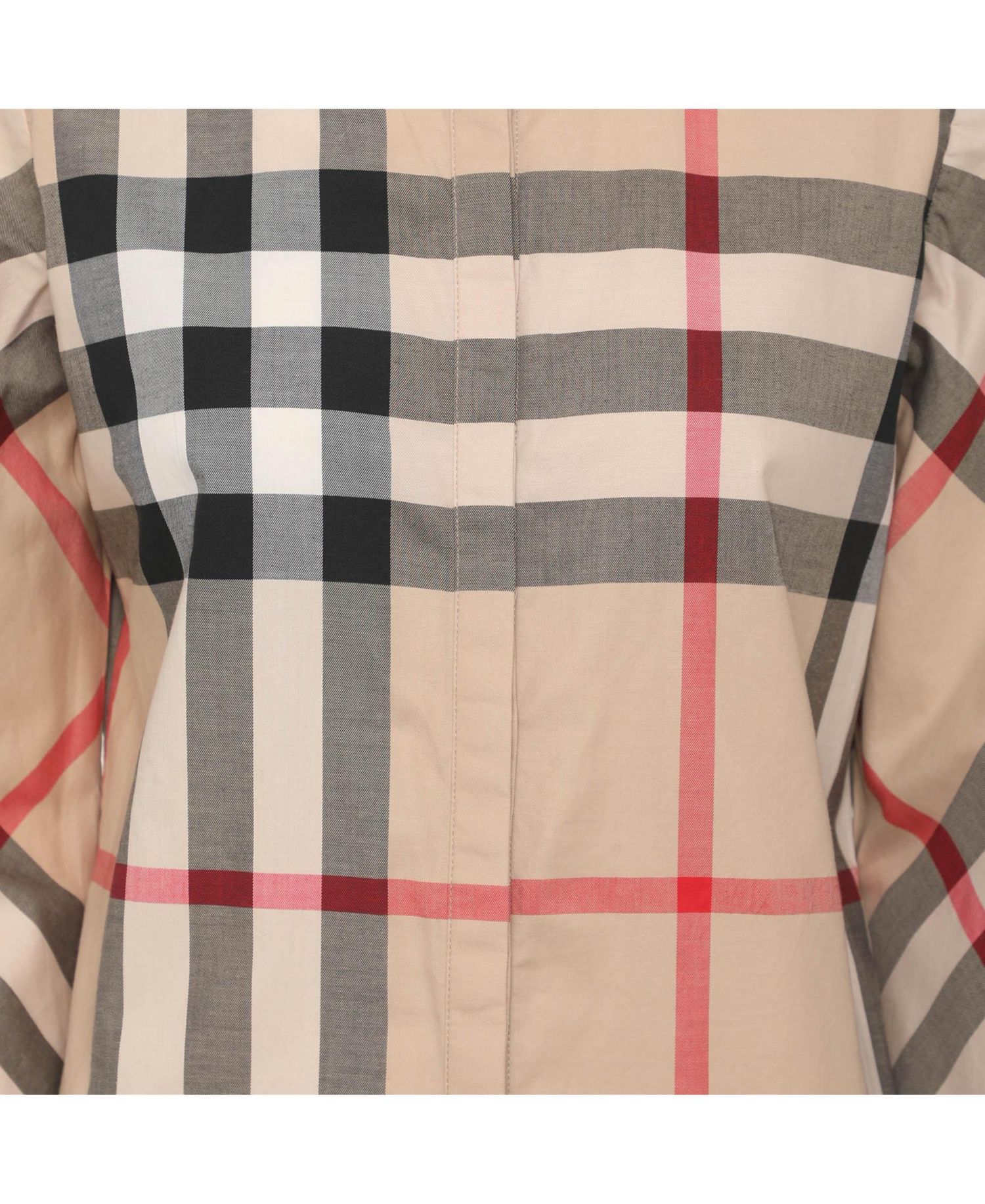 Women's Stretch Cotton Top
