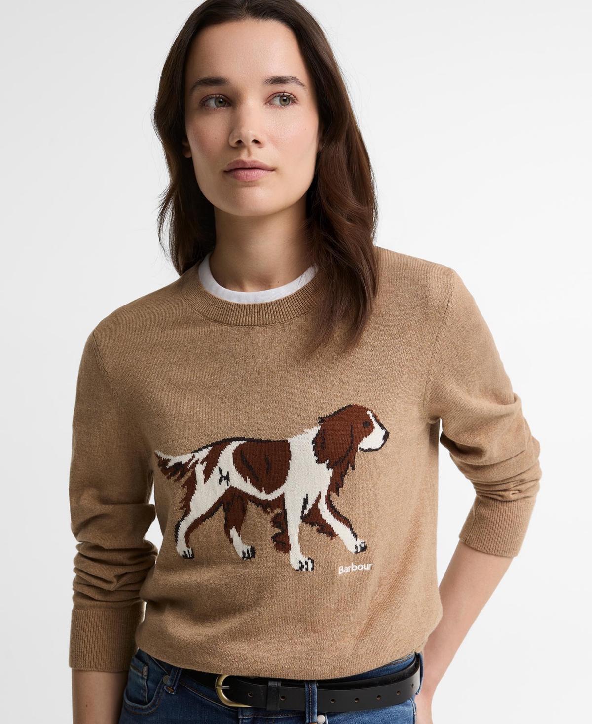 Barbour Women's Fareham Intarsia Crewneck Sweater