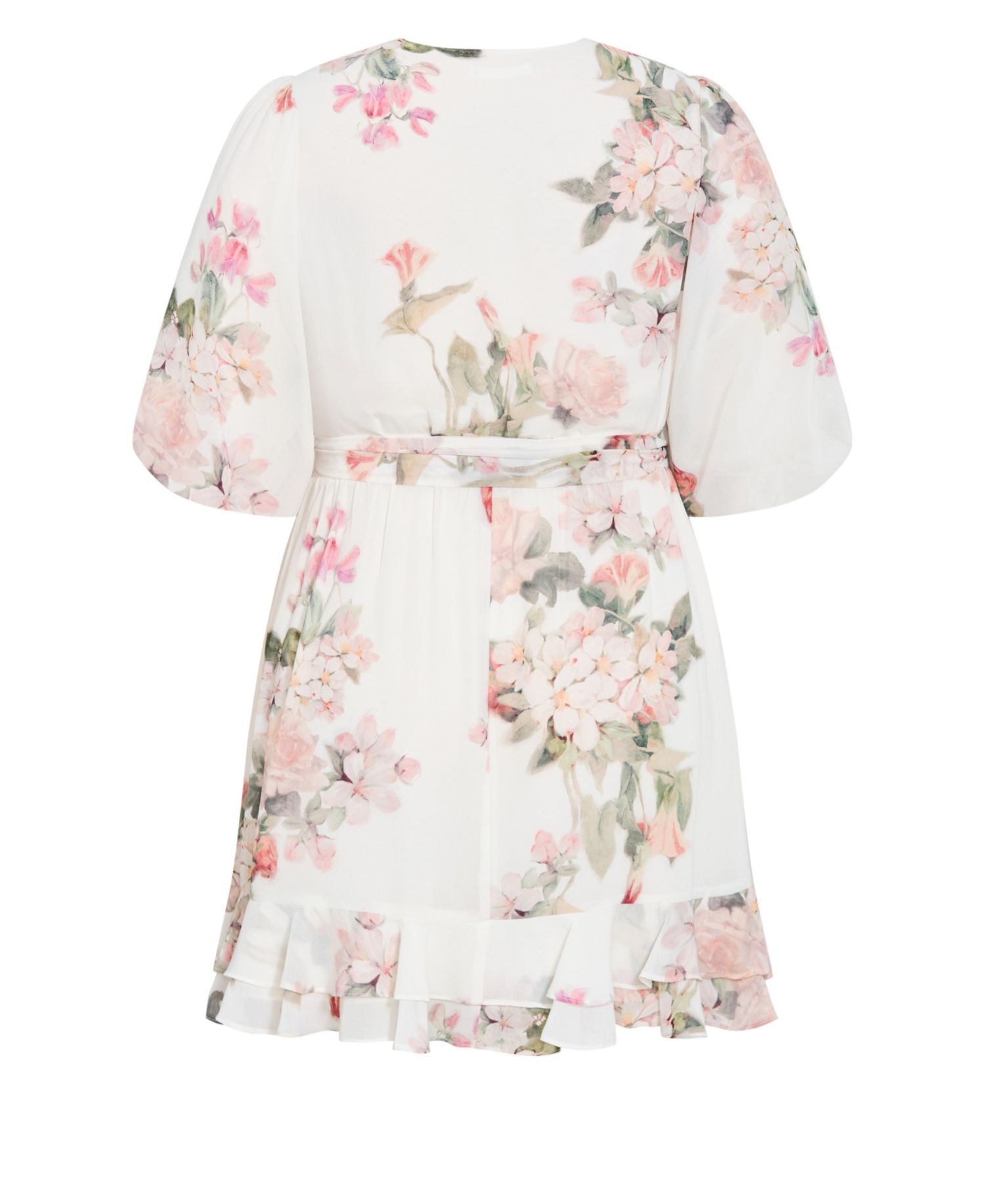 Women's Plus Size Koko Print Mini Dress