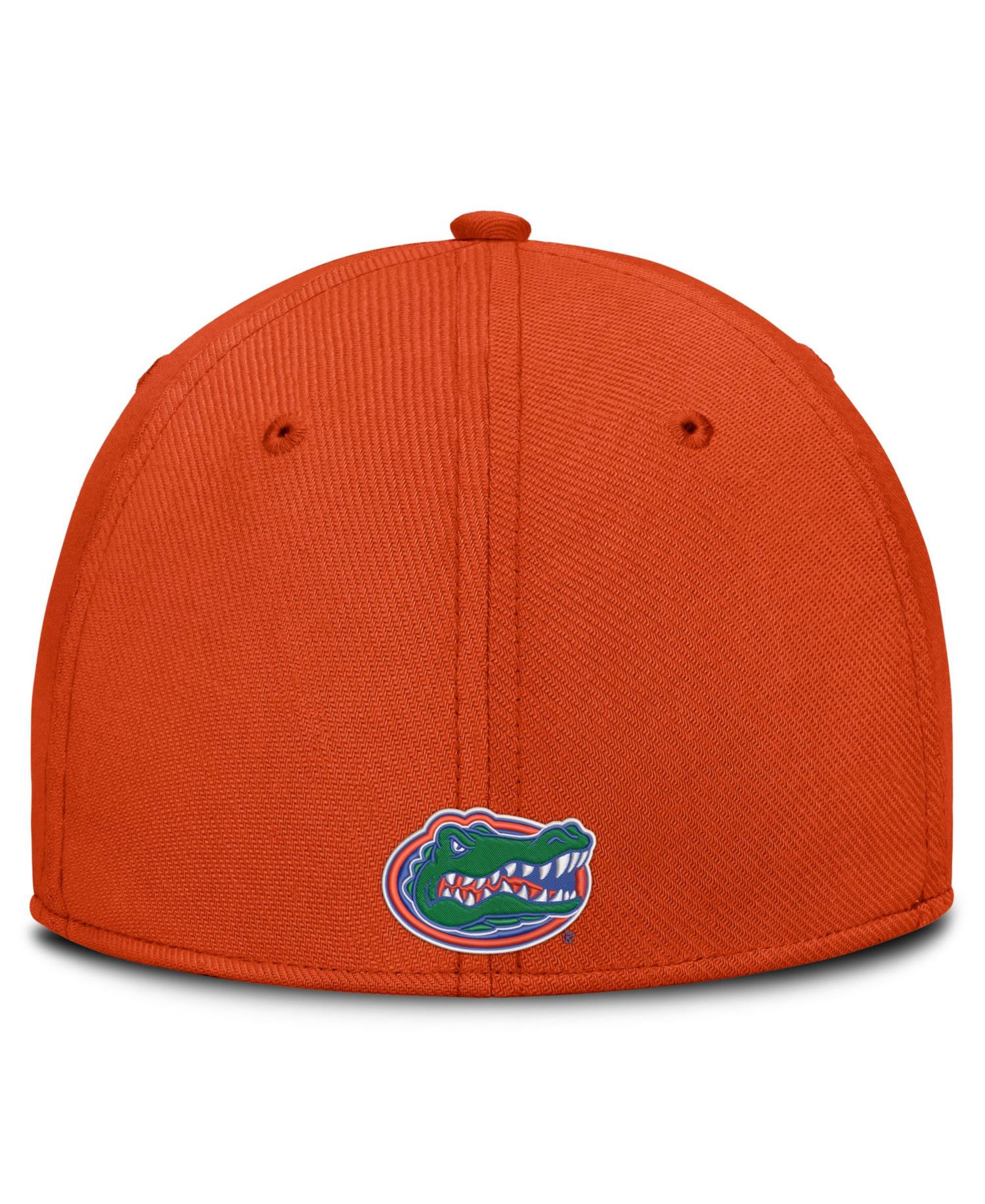 Men's Orange Florida Gators Game Day Rise Swooshflex Hat