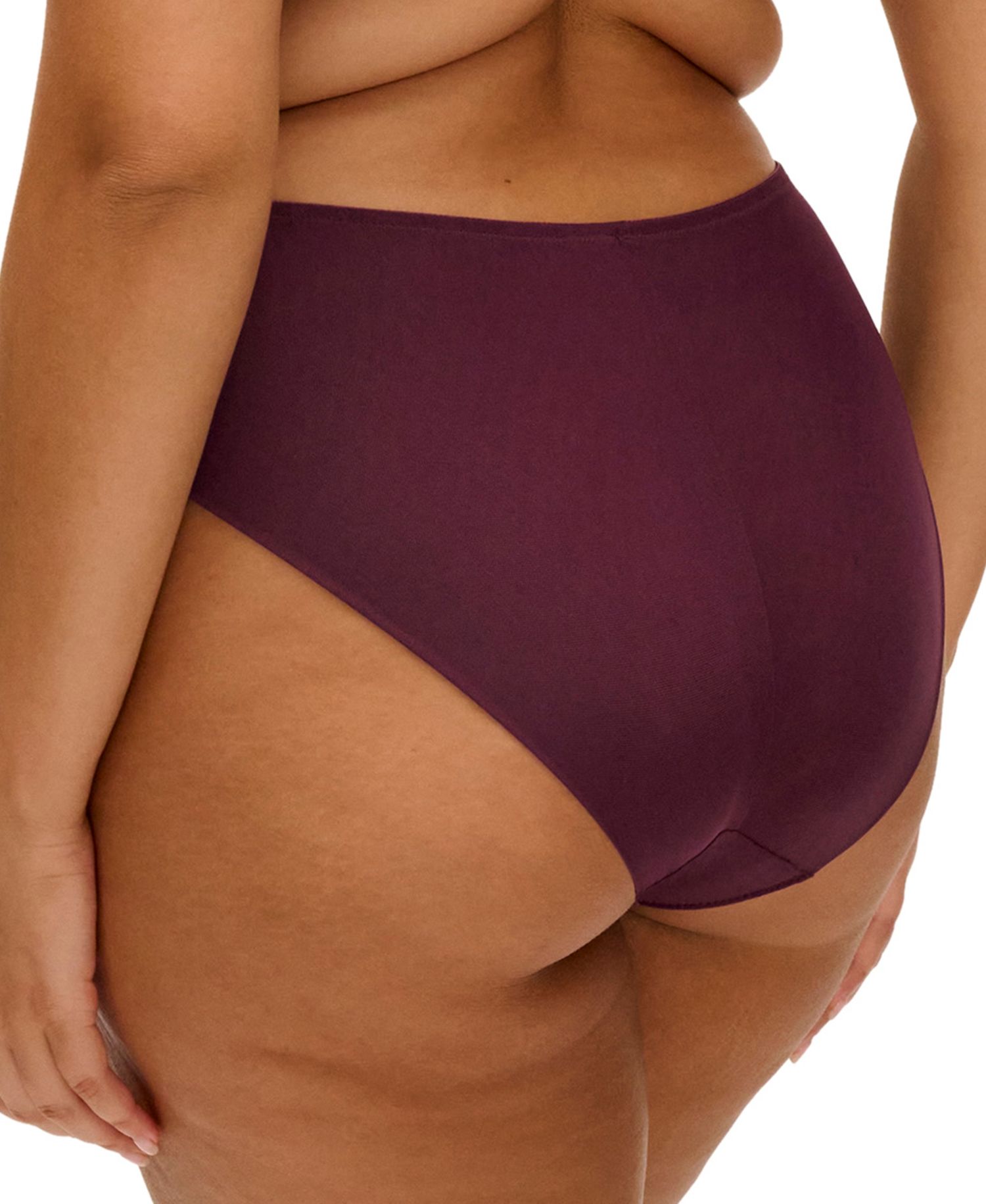Plus Size Reja High-waisted Full-Coverage Brief Panty