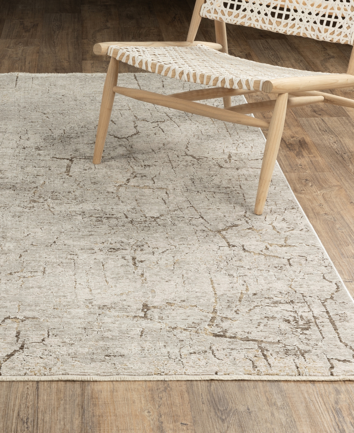 Oriental Weavers Branigan BRG05 2'3"x3' Area Rug