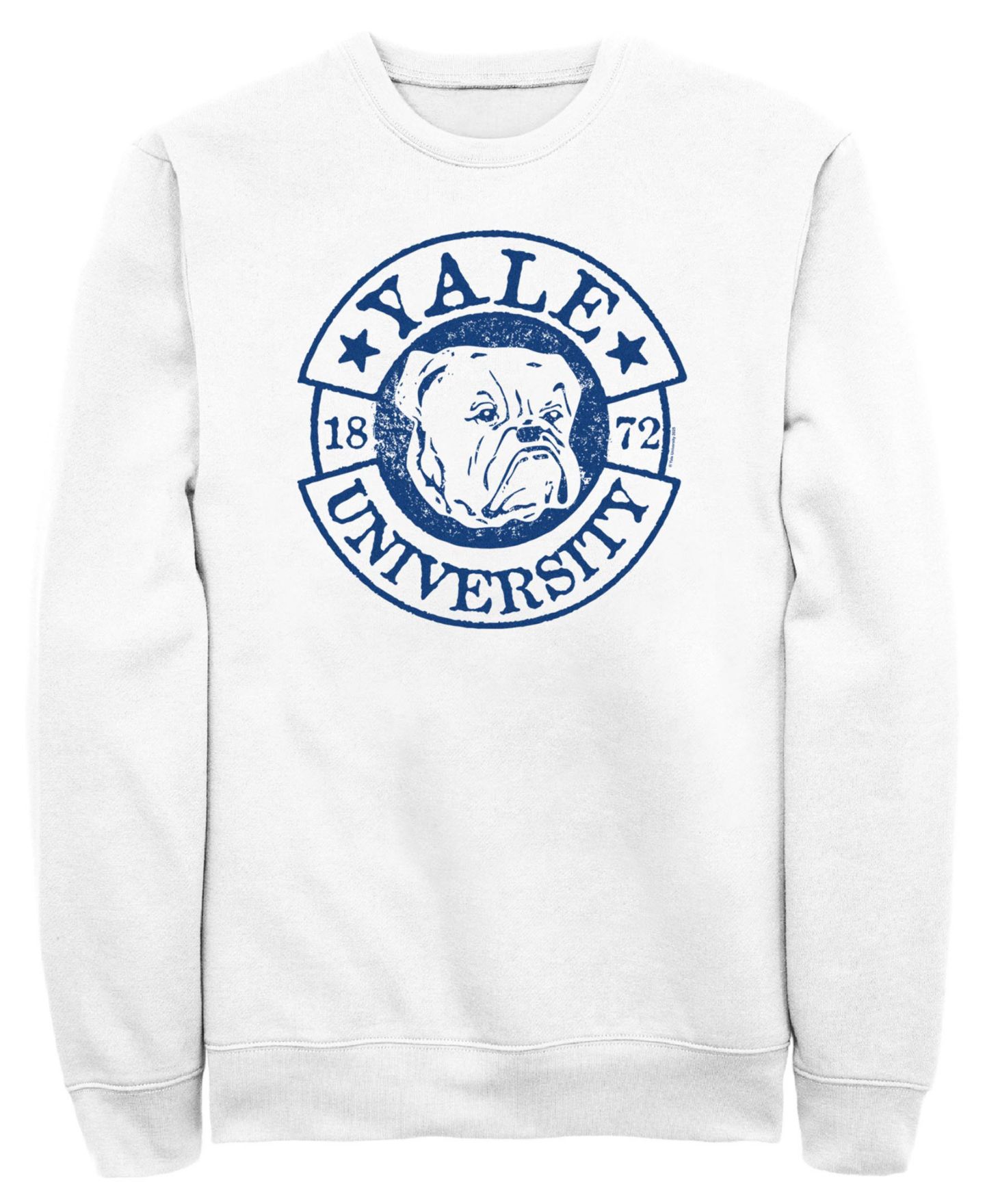 Мужская толстовка Fifth Sun Alix University Bulldog Graphic Crewneck, цвет: Белый — фото 1