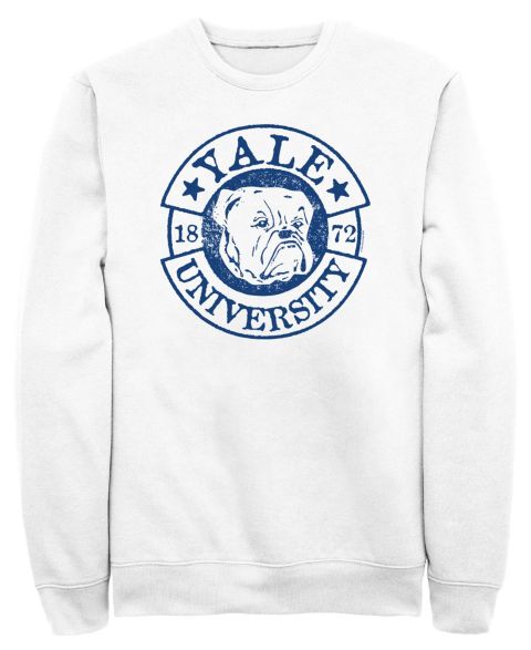 Мужская толстовка Fifth Sun Alix University Bulldog Graphic Crewneck, цвет: Белый