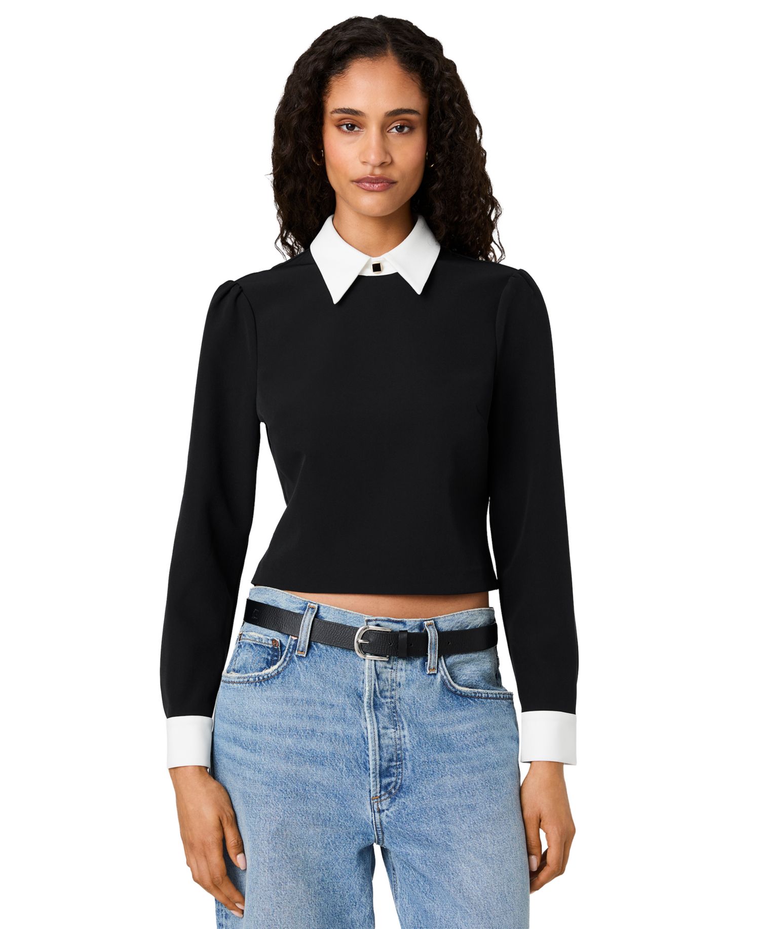 Women's Echo Crepe Collar Point Collar Mini Long-Sleeve Blouse
