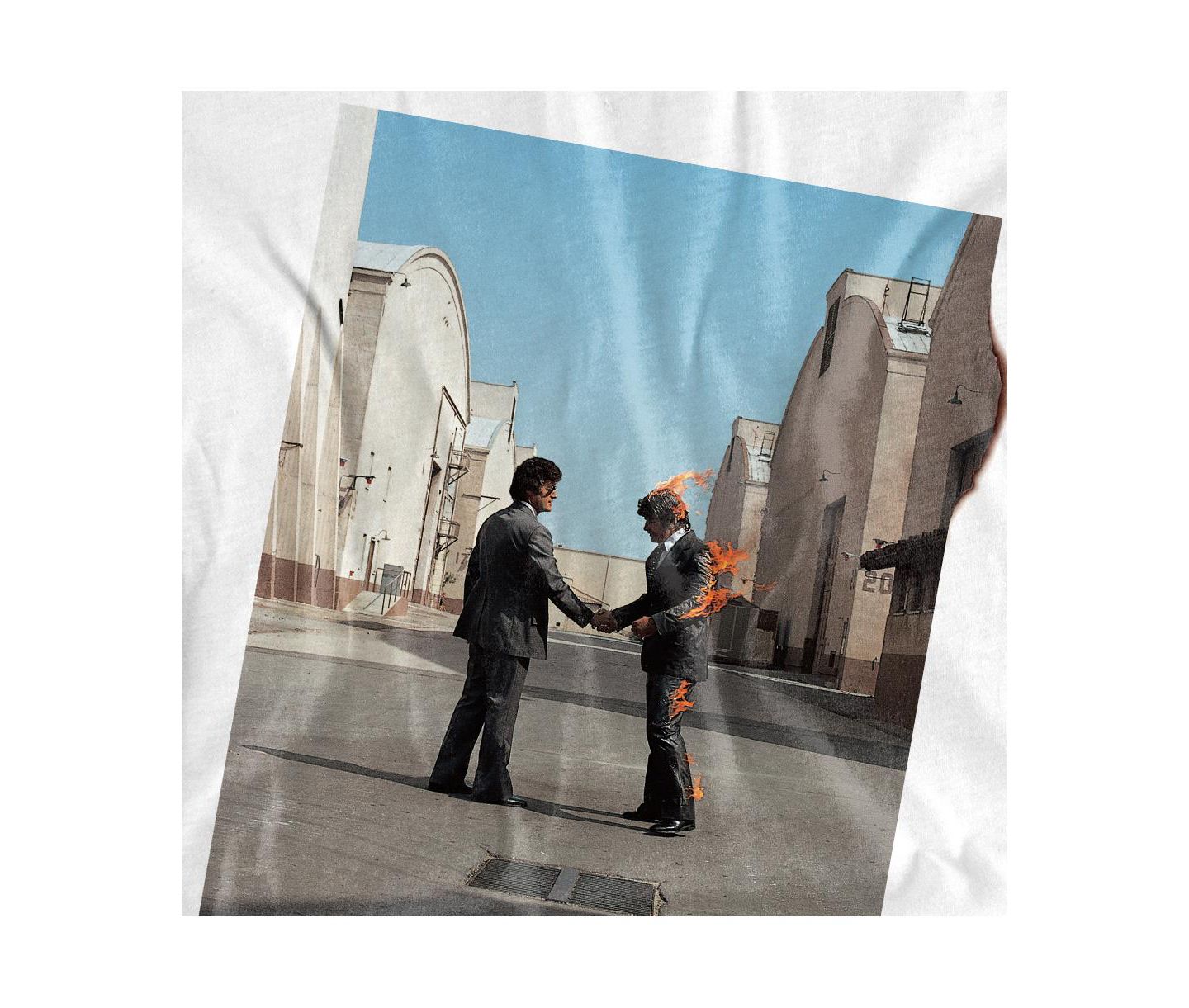 Мужская футболка Pink Floyd Wish You Were Here, цвет: Белый — фото 3
