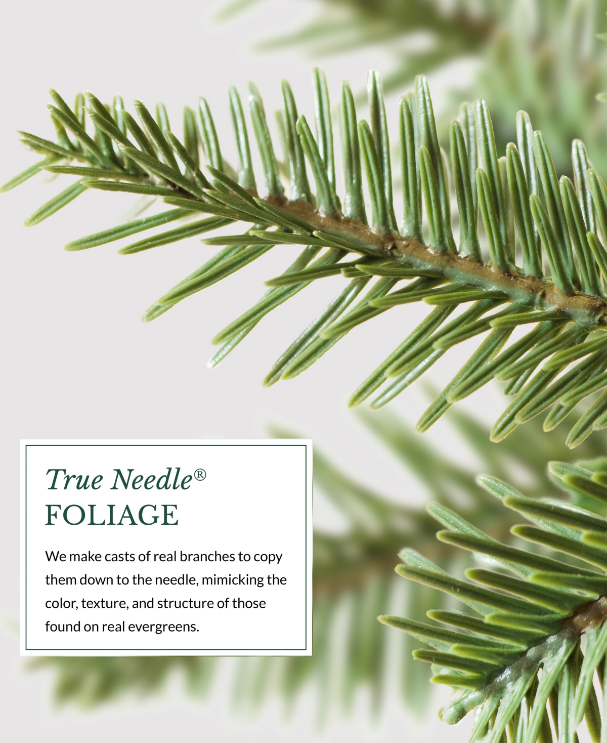 Balsam Hill 6.5 ft Pre-Lit Alpine Balsam Fir Tree