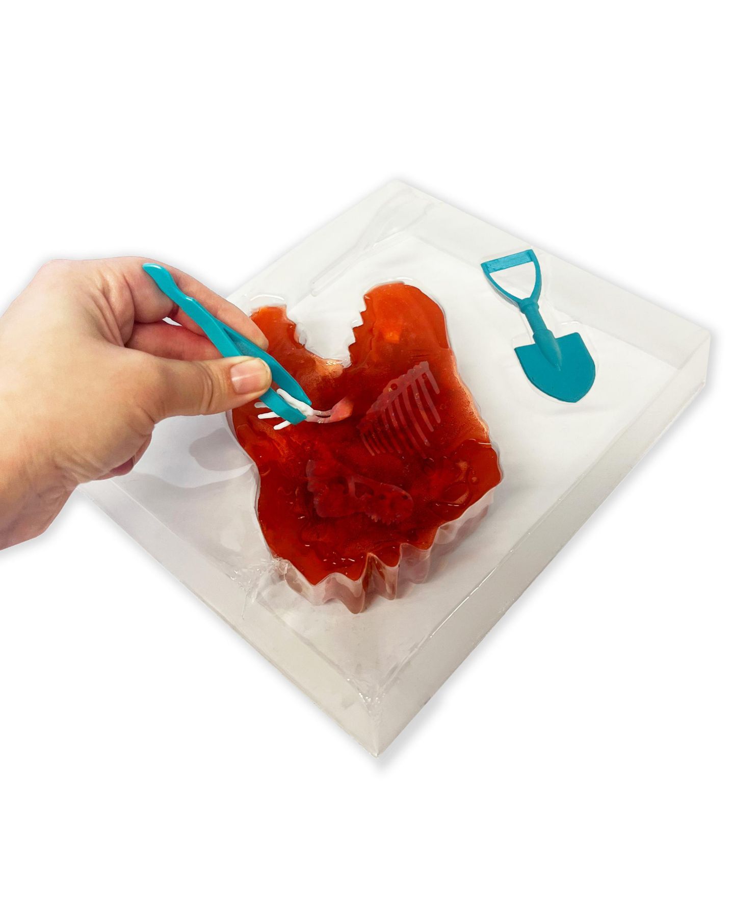 Детские игрушки Dissect-It Dino Dig Excavation Kit, Ages 12+ — фото 6