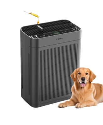 ZACHVO - Air Purifiers, Large Room Up to 3000 Sq Ft,with Washable Filters, H13 HEPA, Dual-Sided Air Intake, Quite