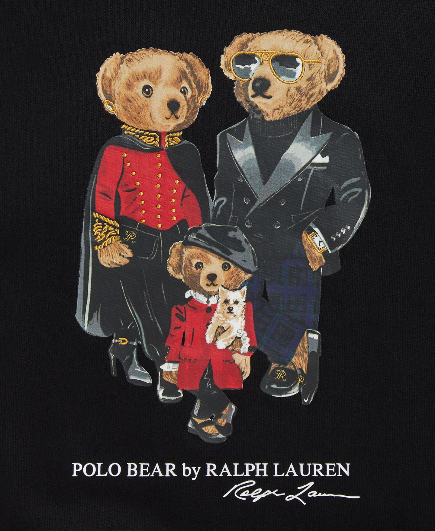 Толстовка Polo Ralph Lauren Polo Bear Family Graphic для девочек, цвет: Чёрный — фото 6