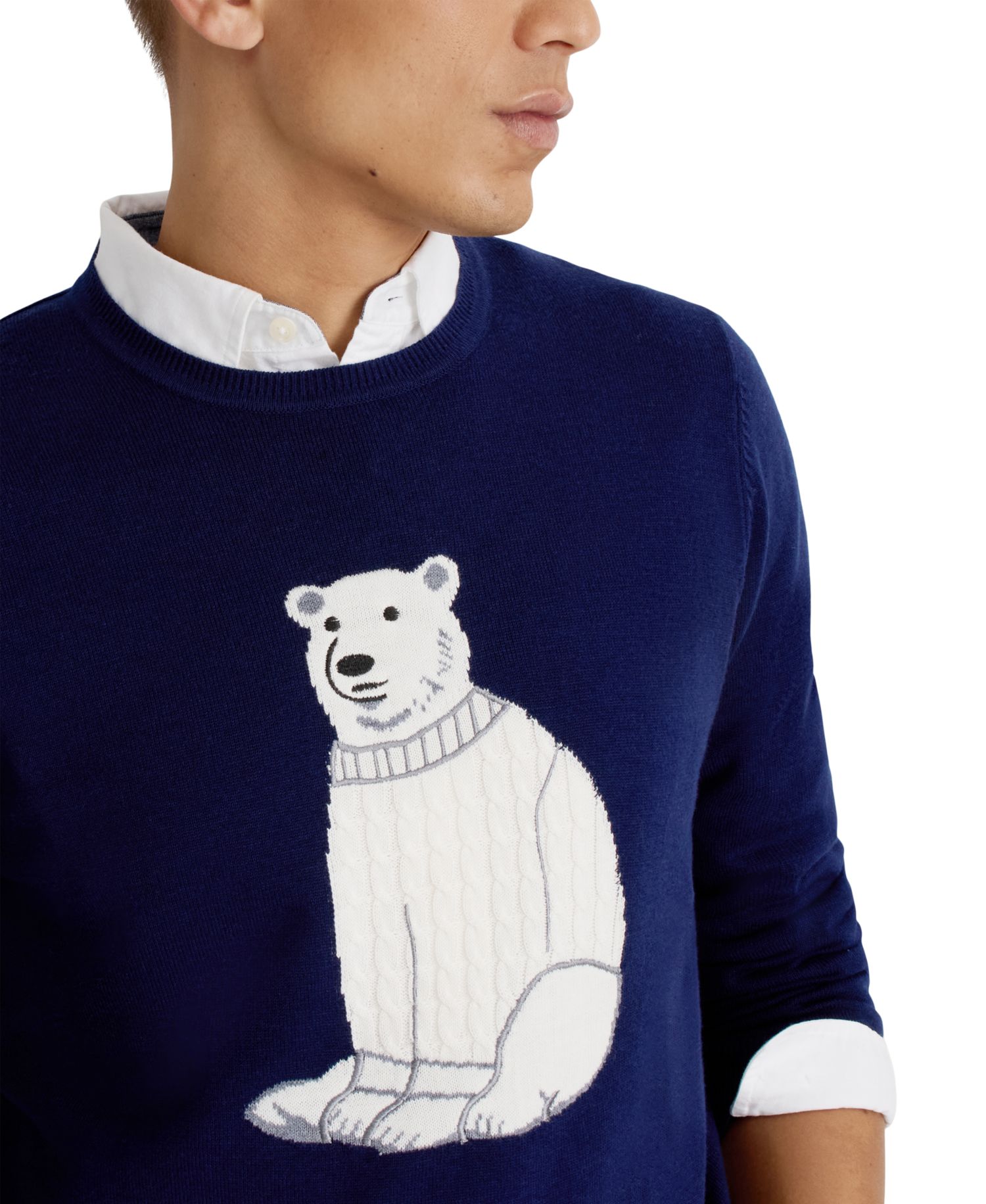 Men's Polar Bear Intarsia Crewneck Sweater