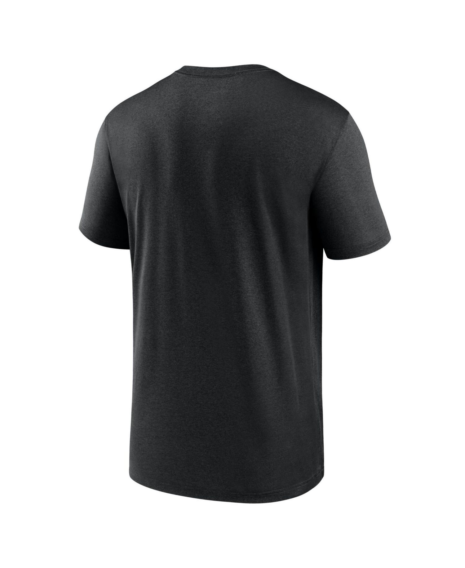 Men's Big & Tall Detroit Lions Legend Icon Dri-FIT Graphic T-Shirt