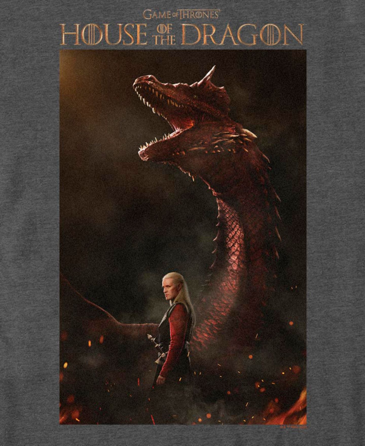 Мужская футболка Fifth Sun House of the Dragon Daemon Poster Graphic, цвет: Dark Heath — фото 3