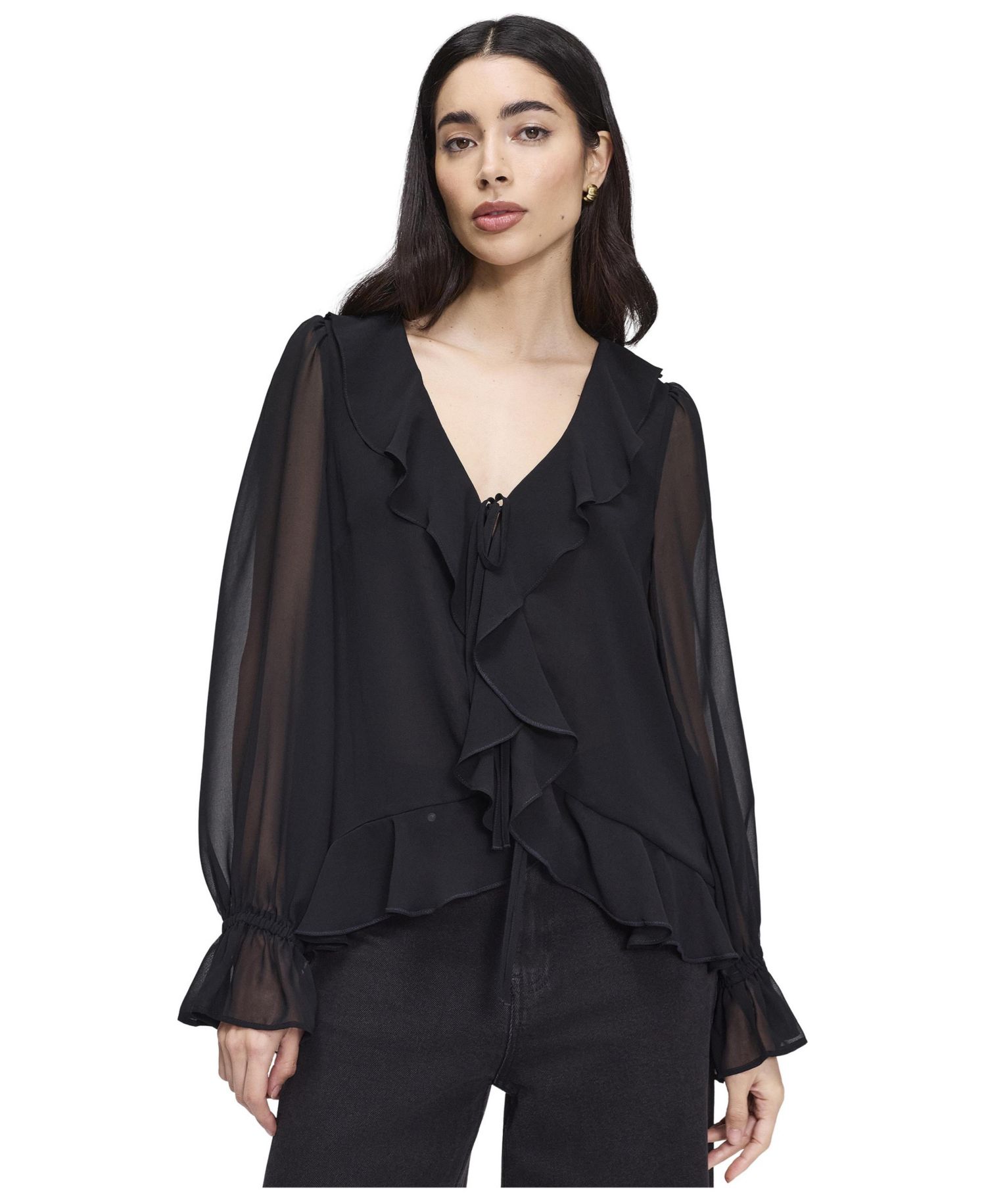 Women's Jannelle Sheer Long-Sleeve Blouse