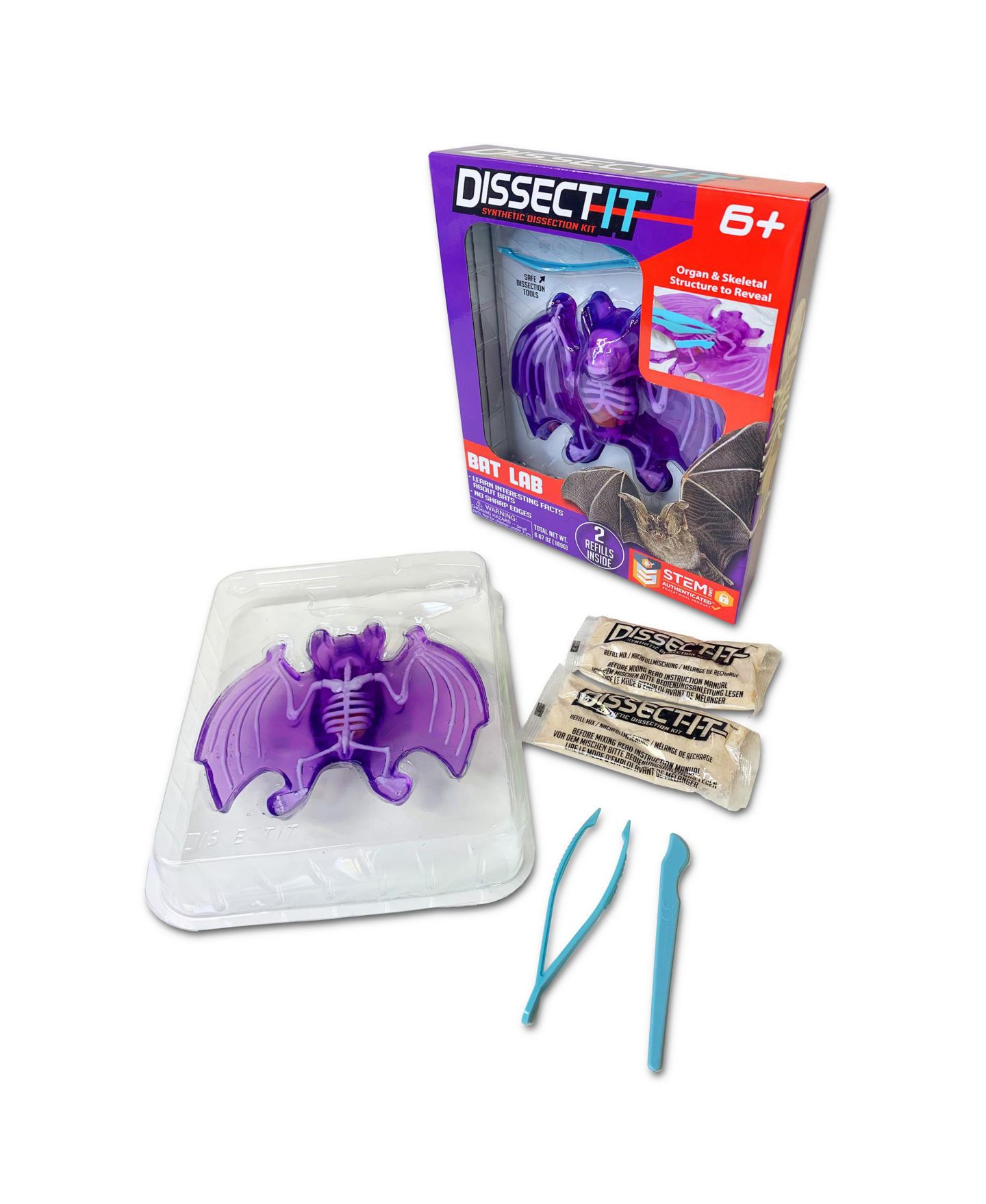 Детские игрушки Dissect-It Bat Lab Realistic Dissection Kit, Ages 6+ — фото 2