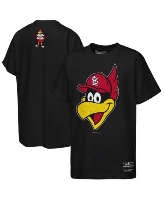 Boys' 4-20 and Girls' 4-16 St. Louis Cardinals Big Face Mascot Screen Print Graphic Crewneck T-Shirt