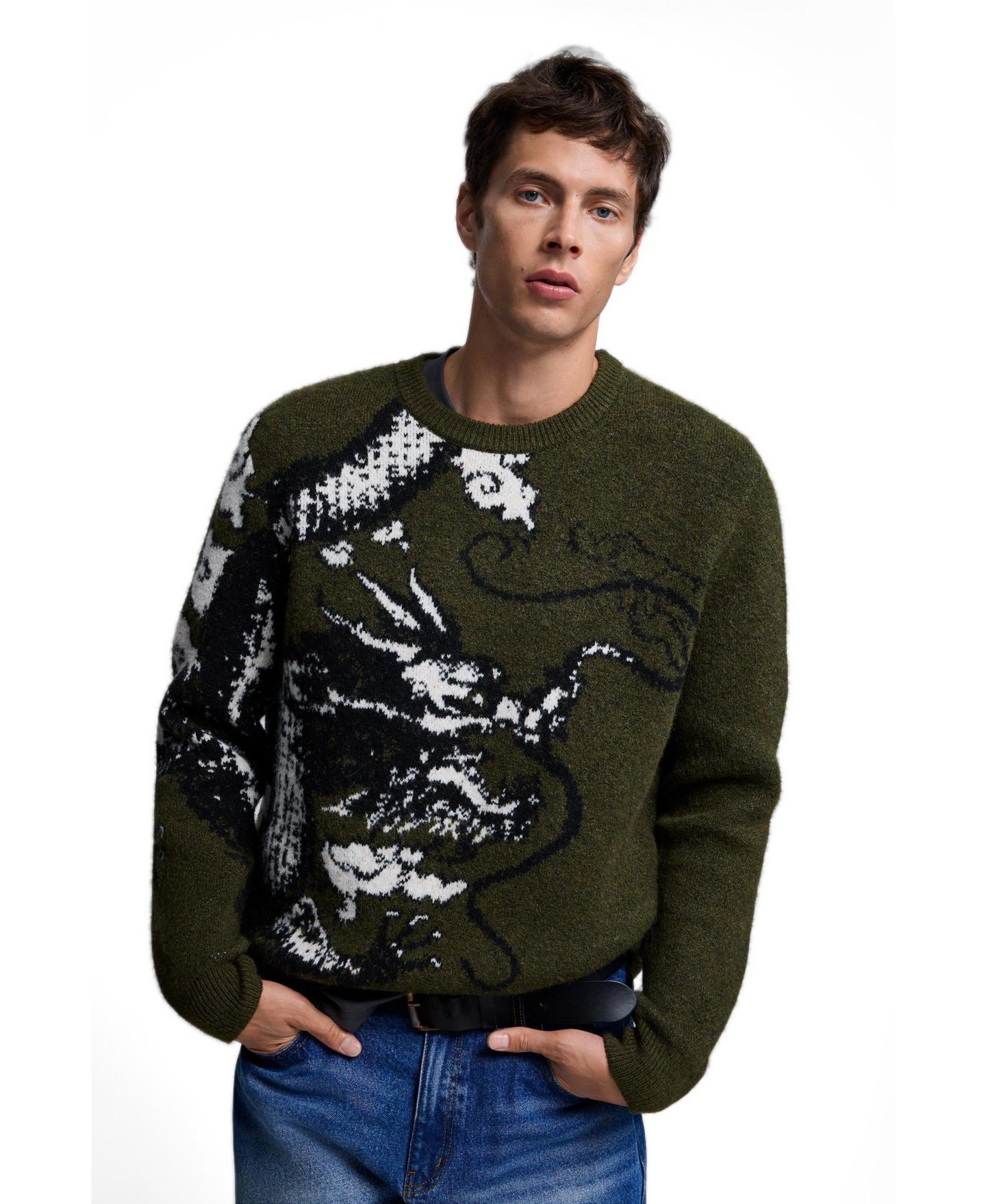 Мужской свитер Desigual Jacquard Knit Printed, цвет: Светлый зелёный — фото 1