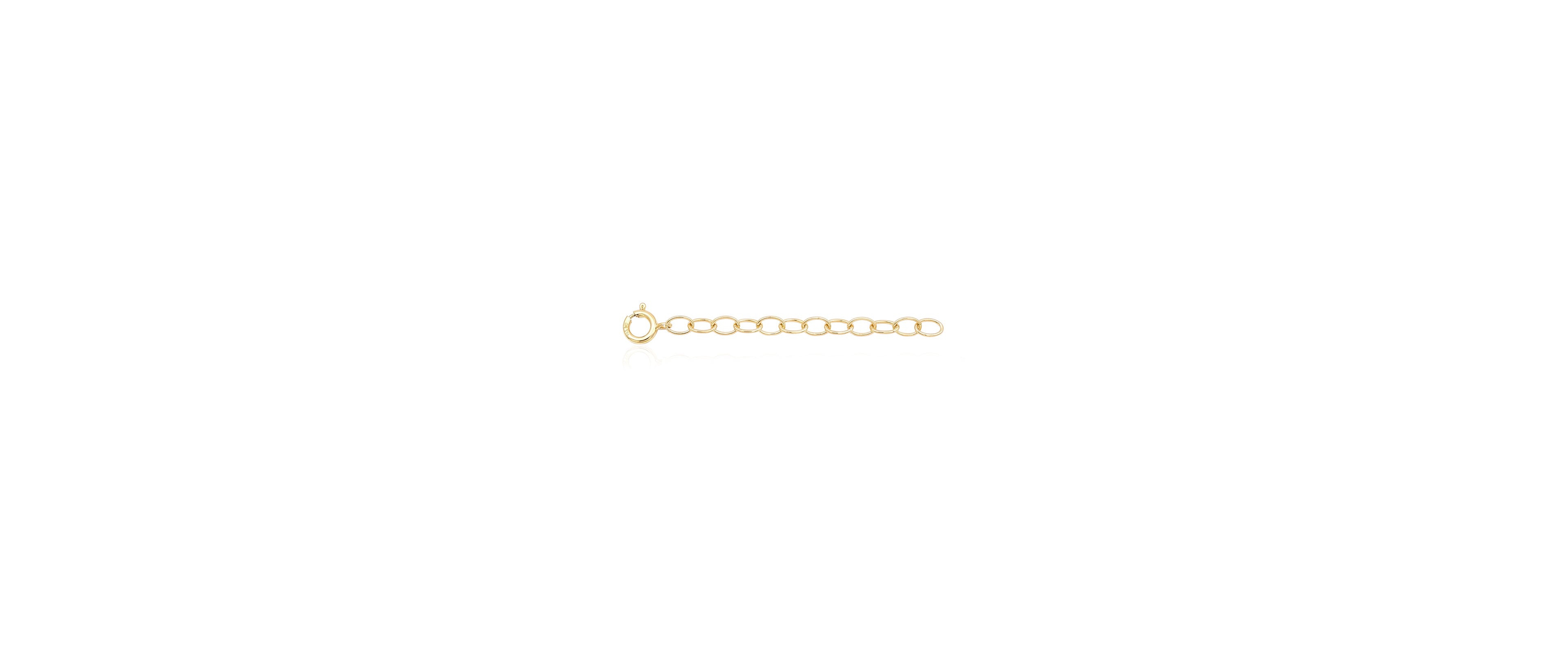 The Lovery Classic Extender Chain 14K Gold Filled Over Brass