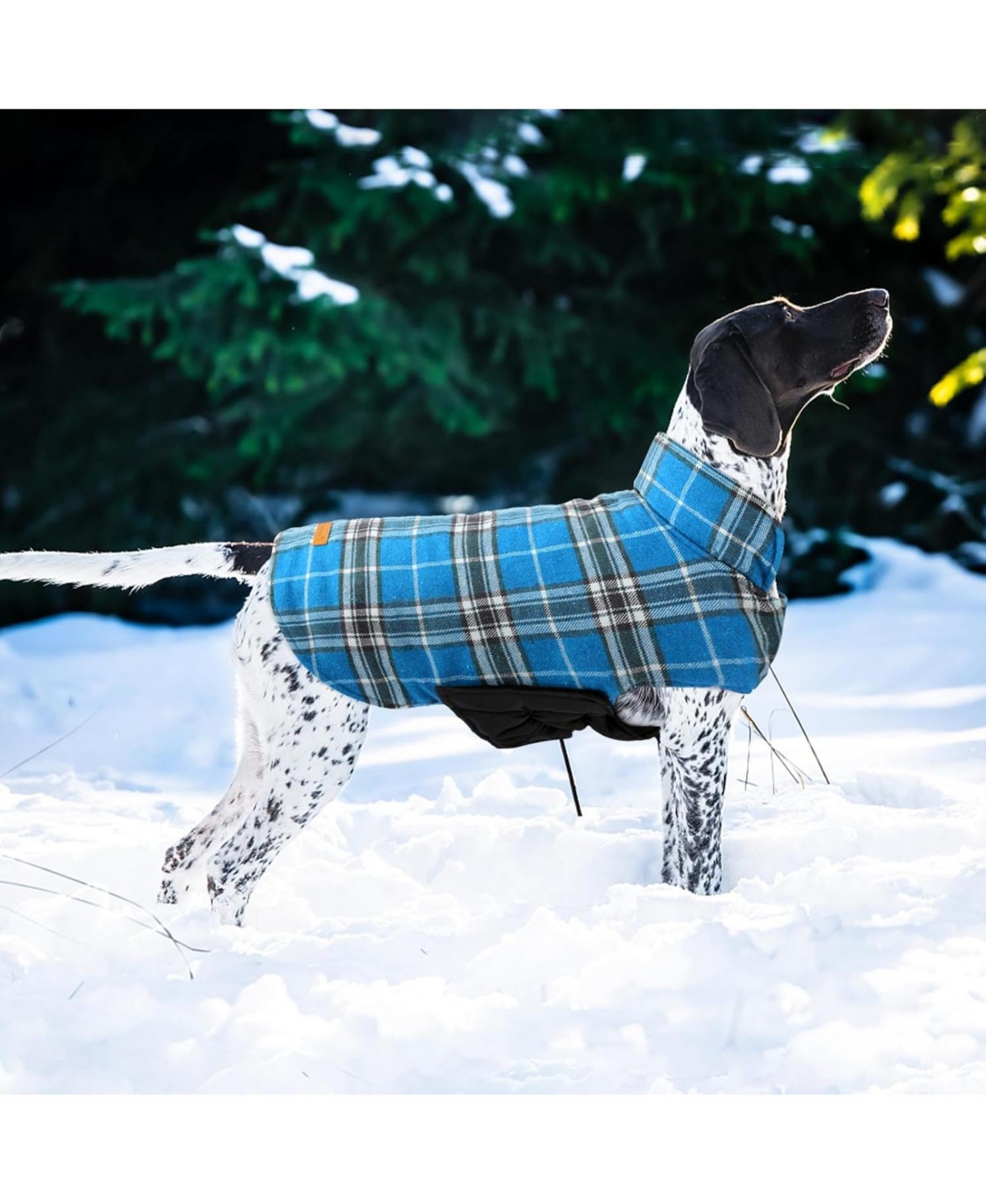 Reversible Waterproof Fleece-Lined Dog Jacket with Leash Access for Cold Weather