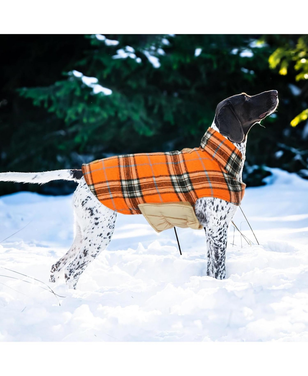 Reversible Waterproof Fleece-Lined Dog Jacket with Leash Access for Cold Weather