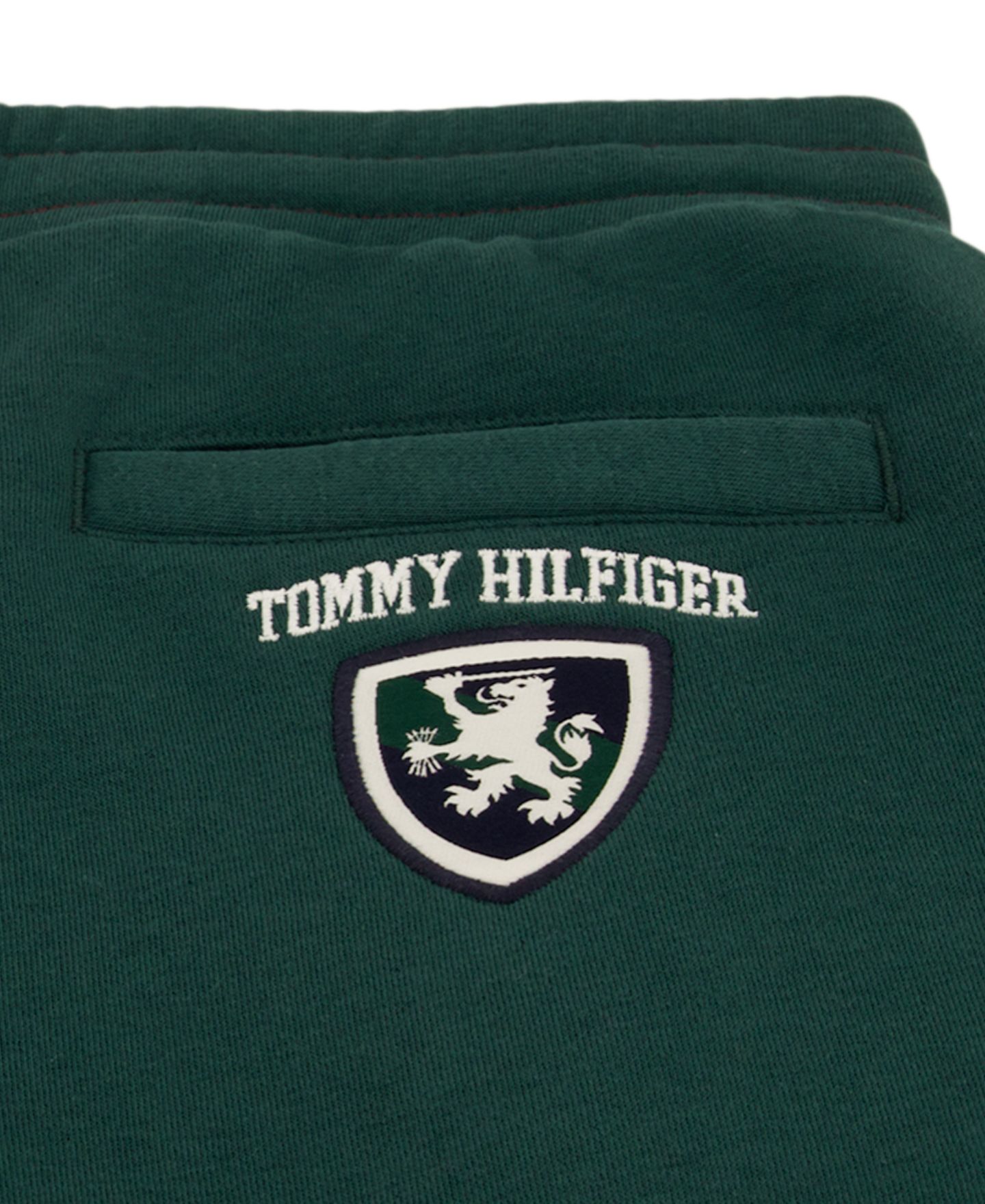 Брюки Tommy Hilfiger Griffin Badge Pull-On Colorblock Jogger для мальчиков, цвет: June Bug — фото 4