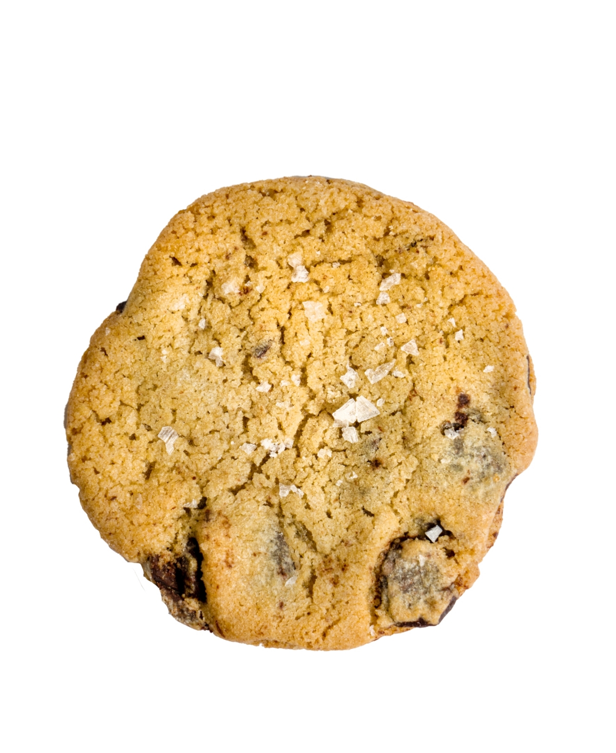 Salt of the Earth Bakery Fresh Baked Chocolate Chip Cookies Gourmet Boxes, 16-Piece