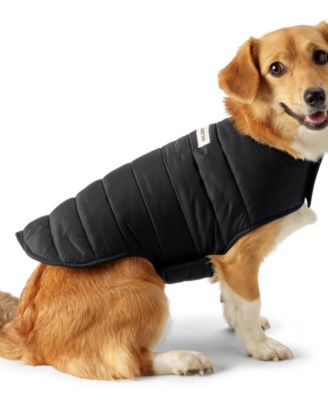 Dog Coat Wanderweight Jacket