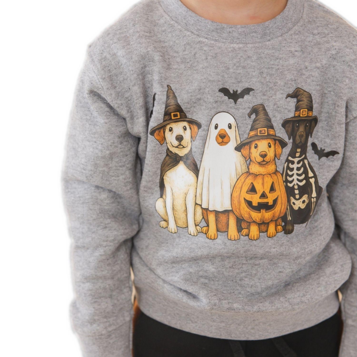 Sweet Wink Little Boys 5-8 Halloween Puppies Sweatshirt