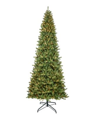 12' Berkshire Fir Christmas Tree