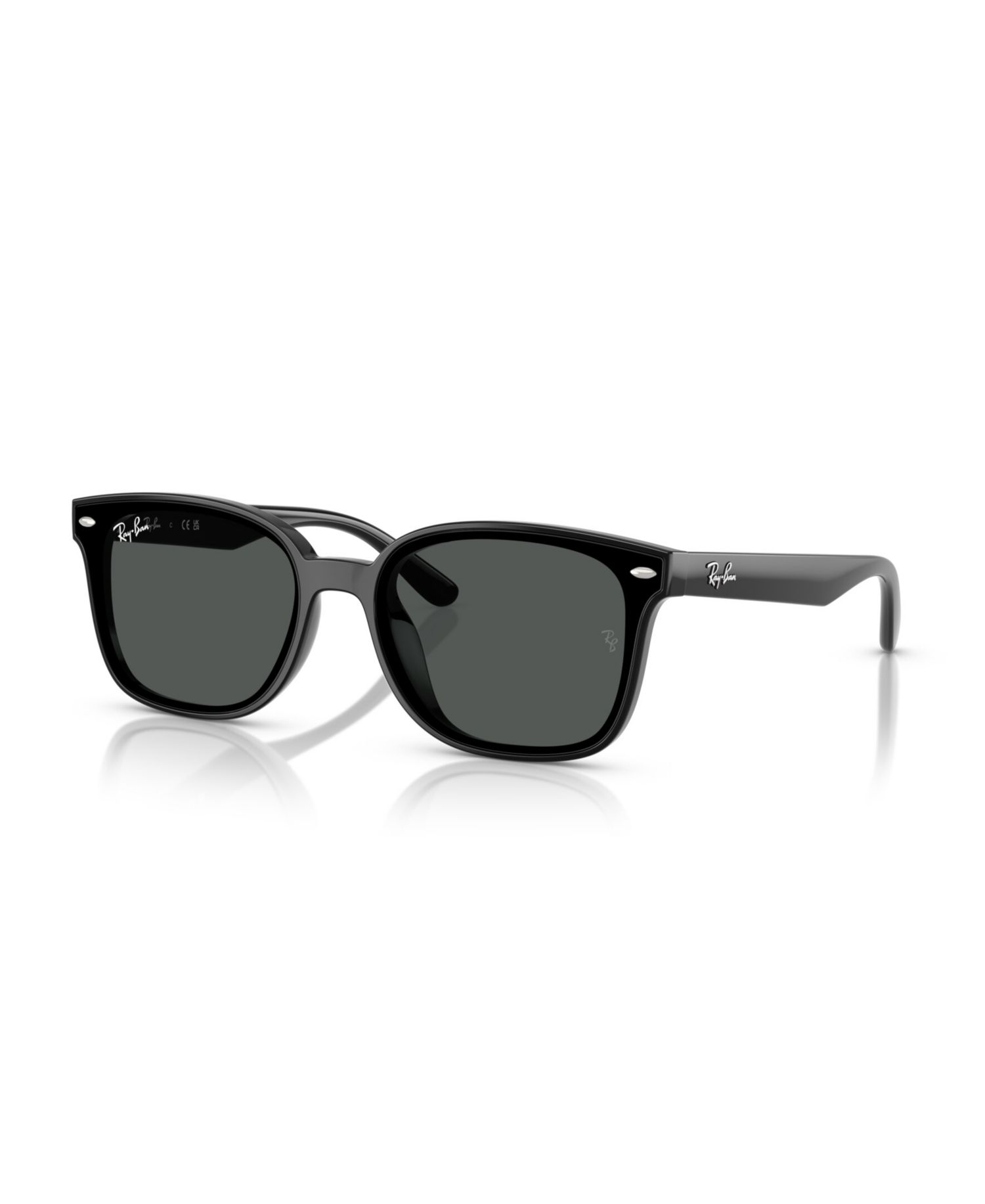 Rectangle Low-Bridge Sunglasses RB4461D