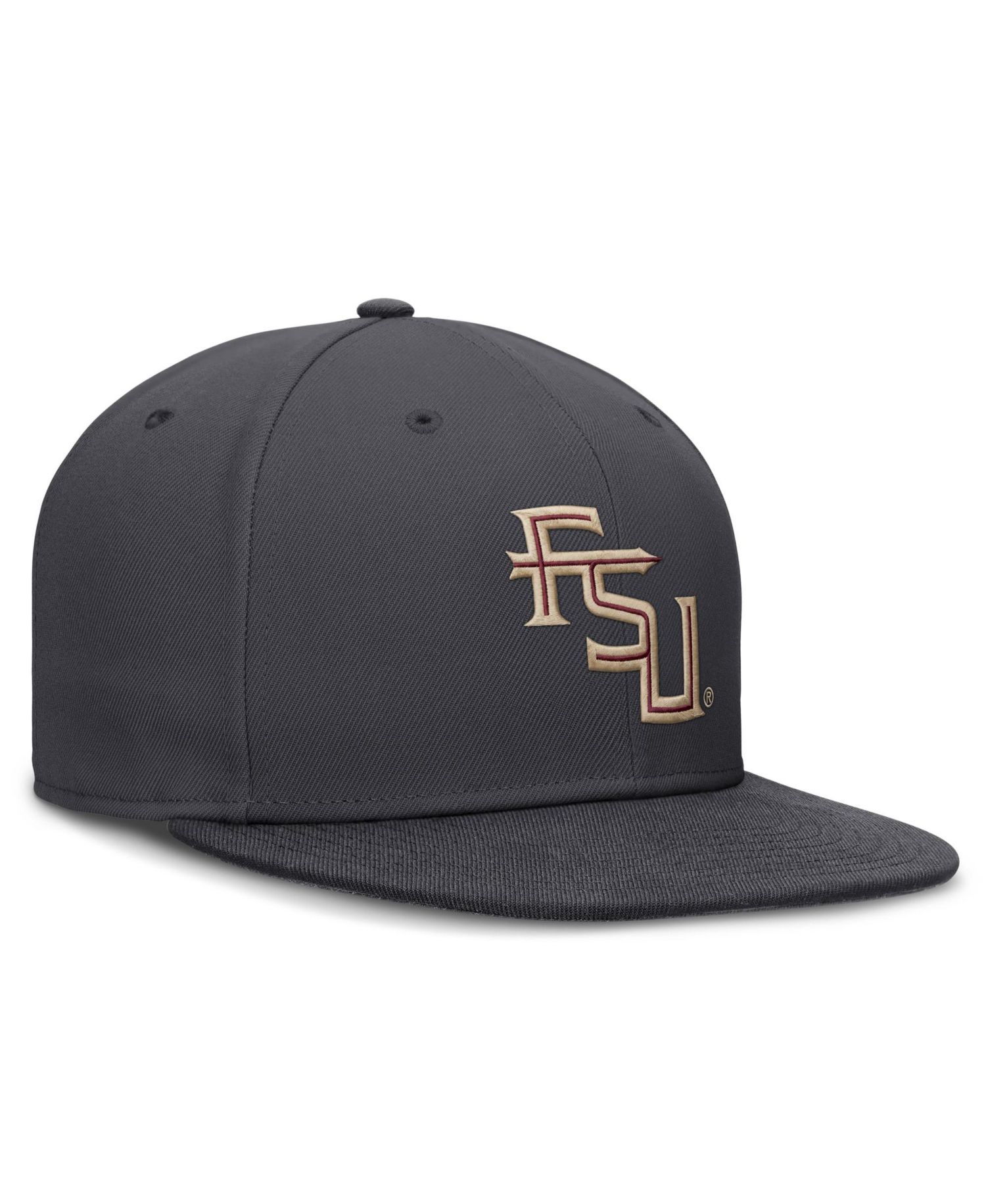 Men's Anthracite Florida State Seminoles Pro Dri-FIT Fitted Hat