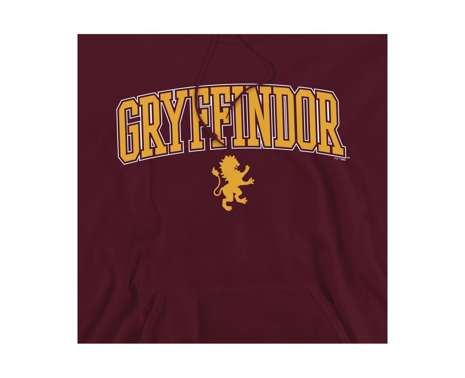 Men's Gryffindor Arched Lion Graphic Long-Sleeve Hoodie