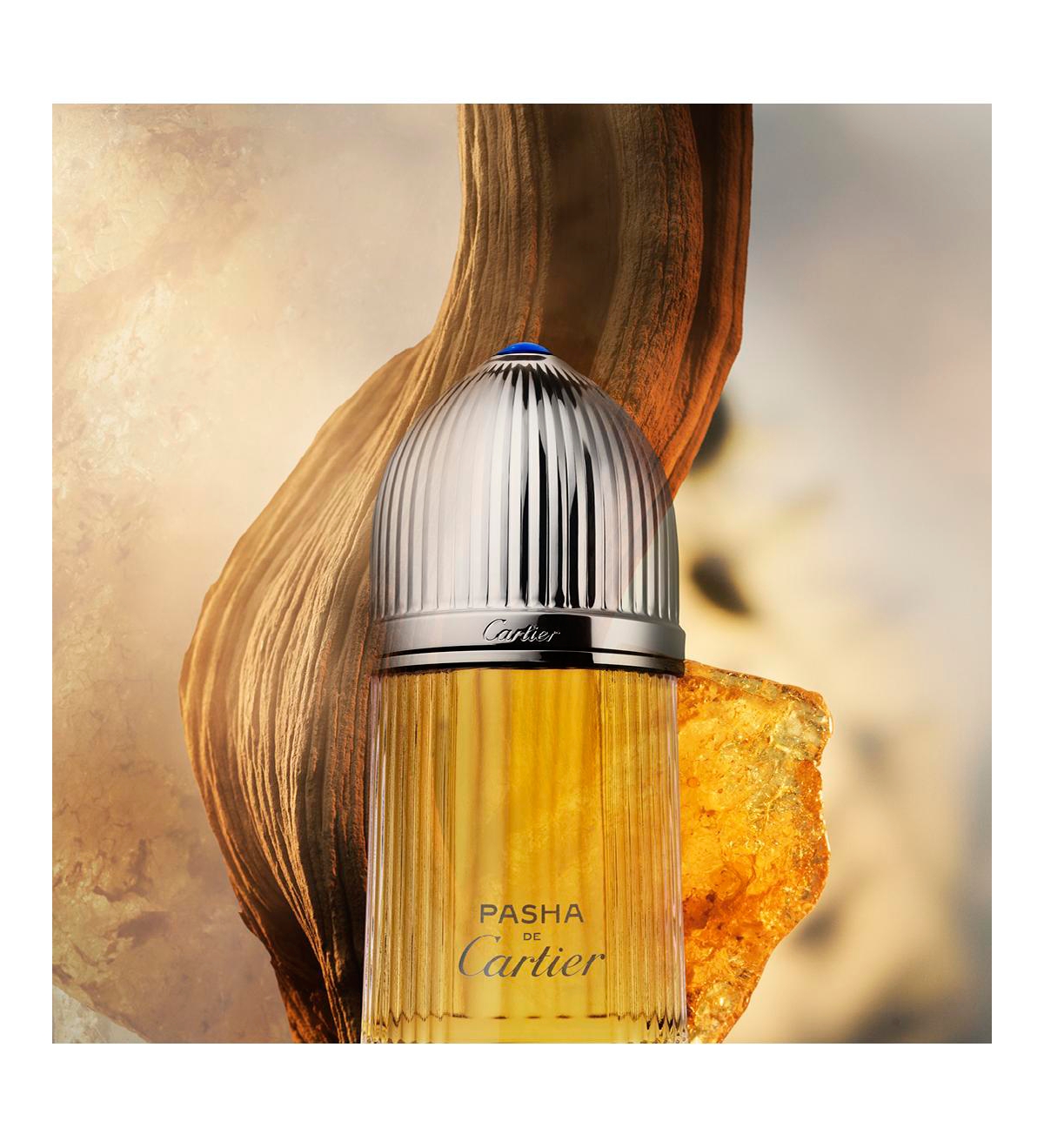 Cartier Men's Pasha Parfum Spray, 3.3 oz.