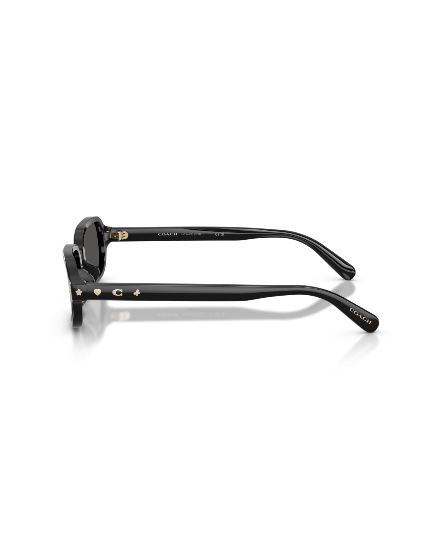 Rectangle Sunglasses HC8465U