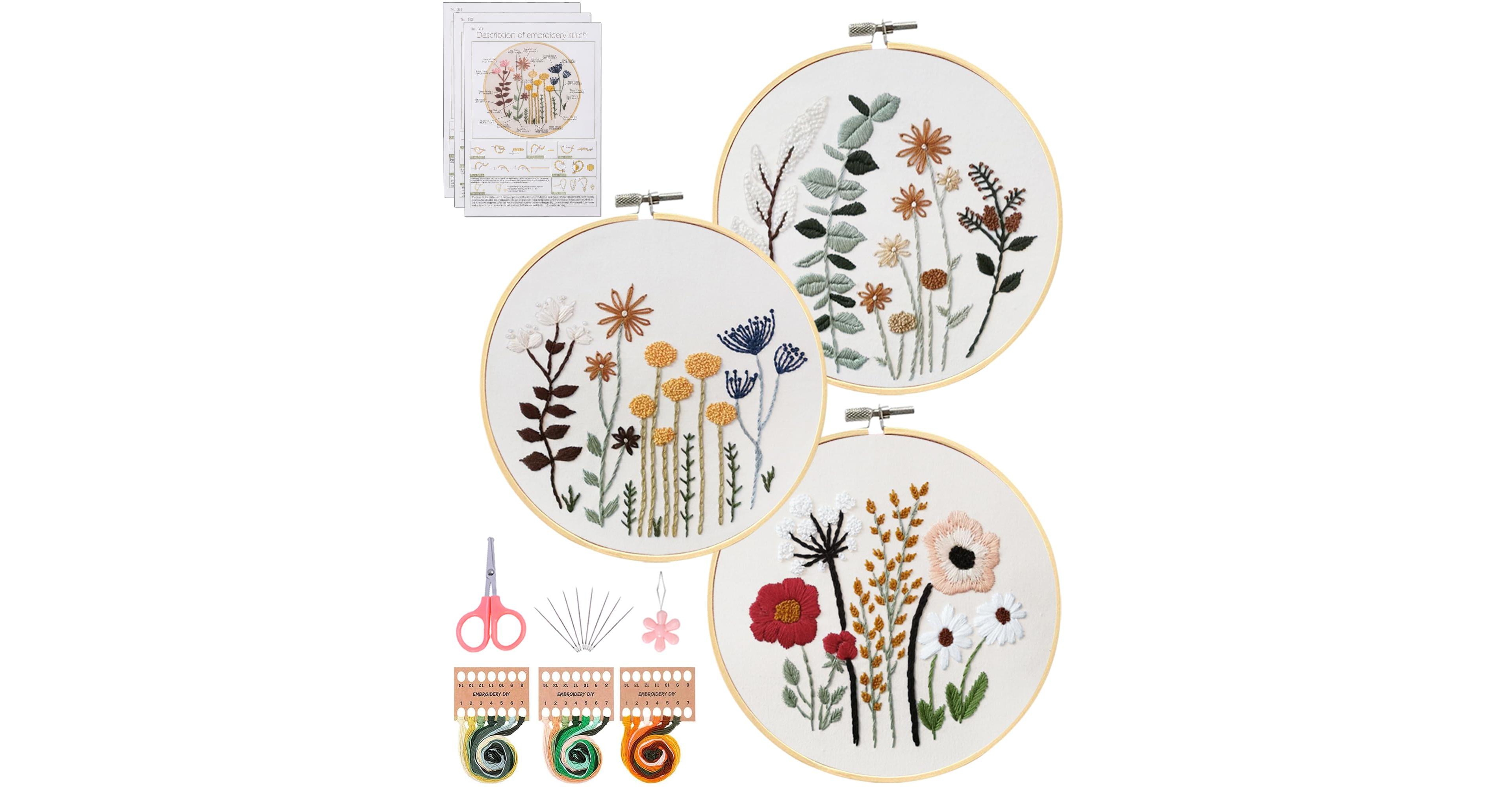 Aeelike 3 Sets Embroidery Kit For Beginners Adults Easy Hand Craft Diy Gift