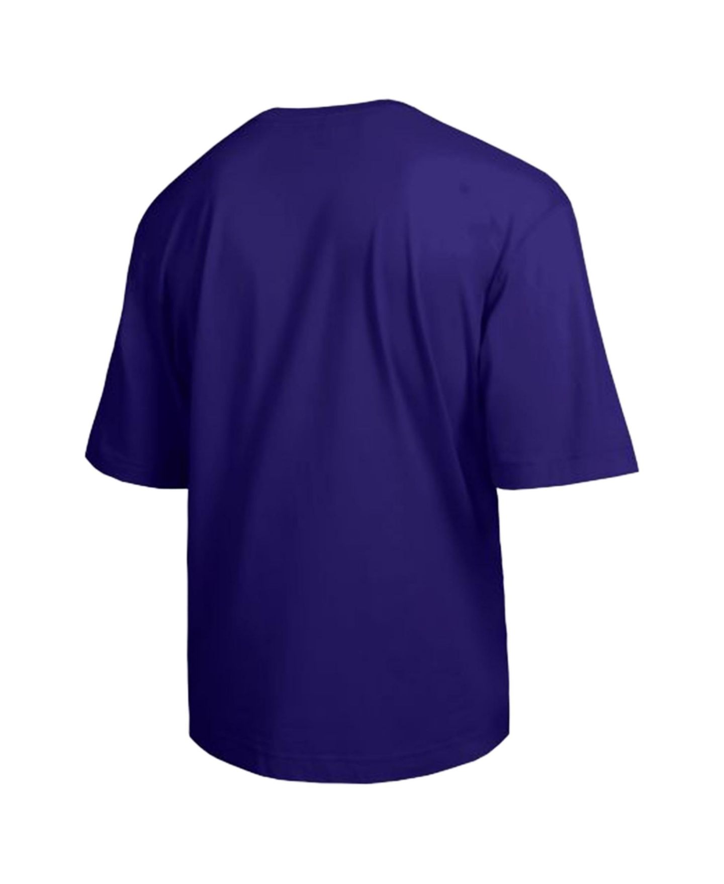 Мужская футболка Champion Purple LSU Tigers All-Star — фото 3