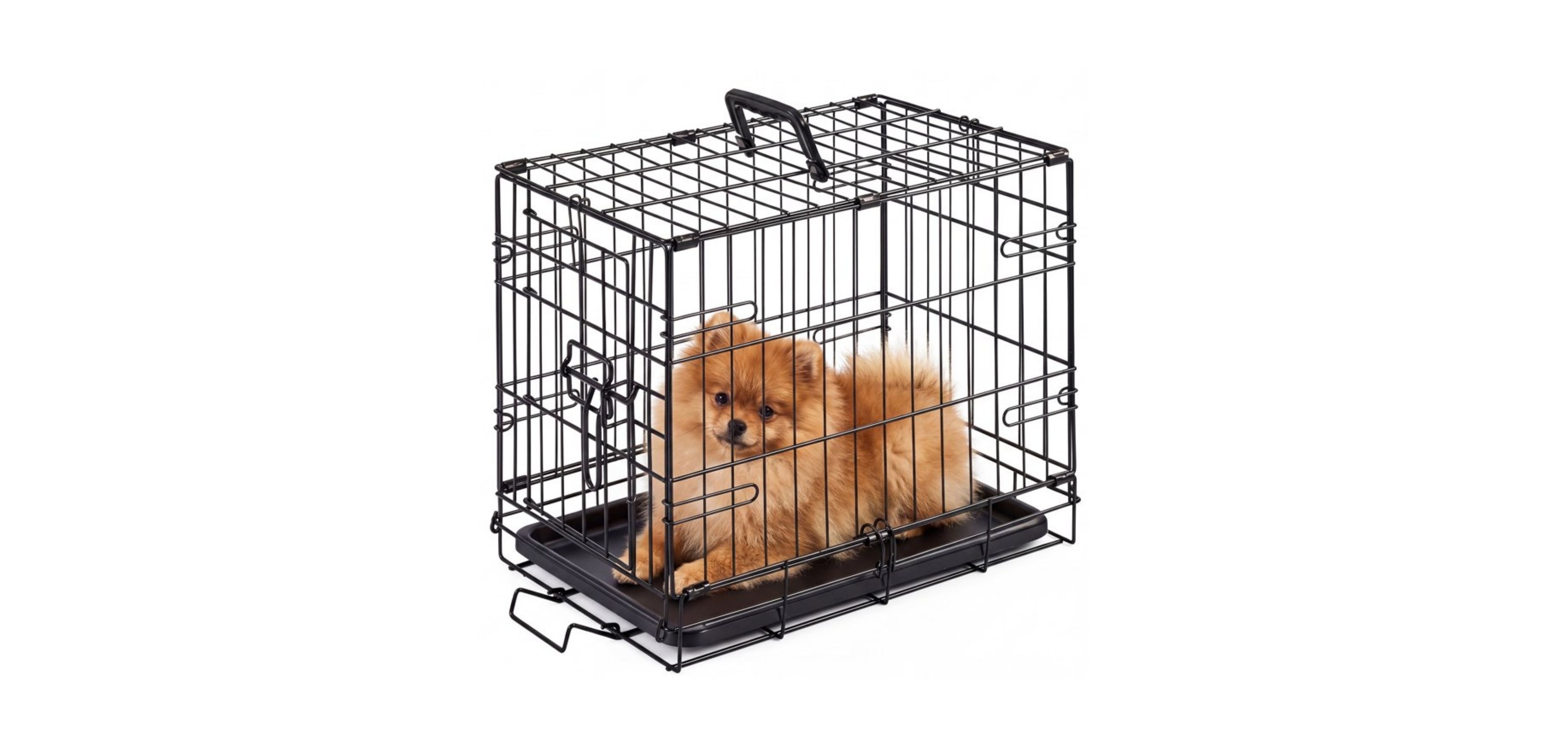 Zeny Single Door Foldable Metal Dog Crate with Removable Tray